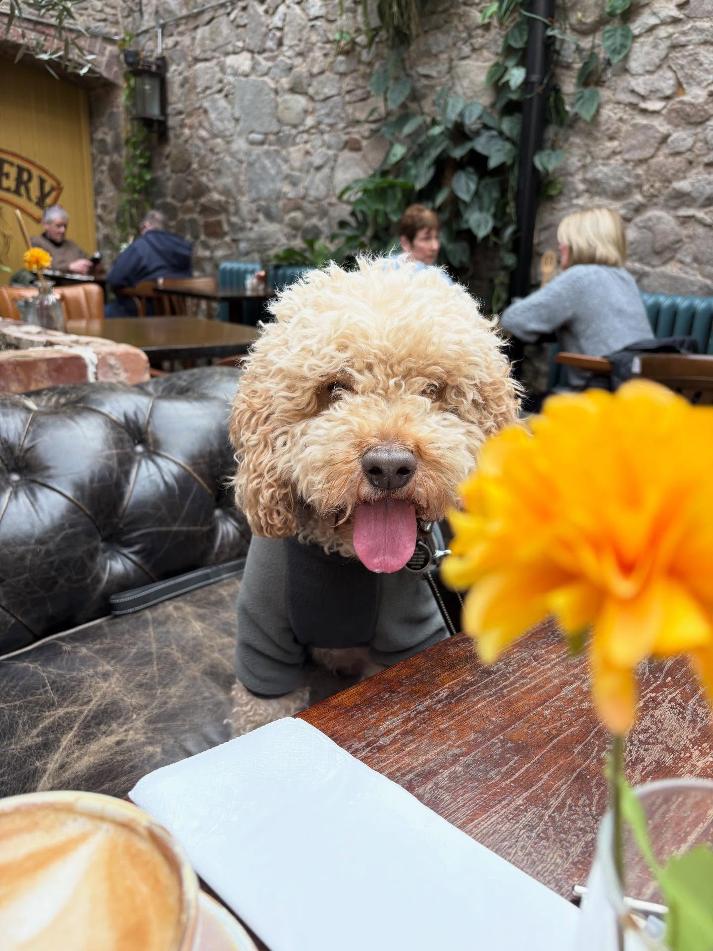 Guests seated in the Cozy Corner courtyard